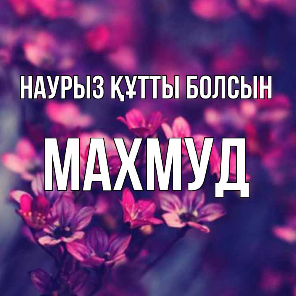 Открытка на каждый день с именем, Махмуд Наурыз құтты болсын небольшие цветы 1 Прикольная открытка с пожеланием онлайн скачать бесплатно 