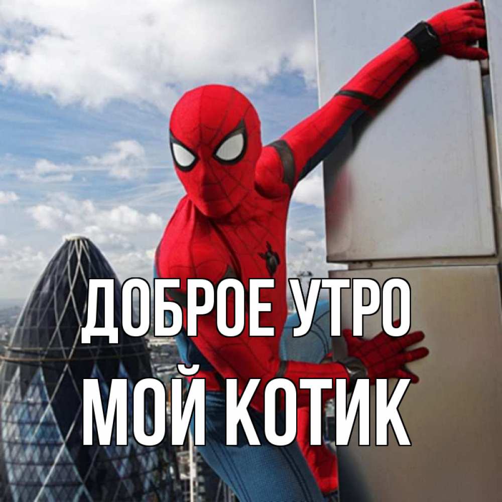 Открытка на каждый день с именем, Мой-Котик Доброе утро марвел герои Прикольная открытка с пожеланием онлайн скачать бесплатно 