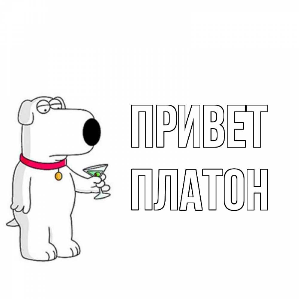 Открытка на каждый день с именем, Платон Привет собака и коктейль Прикольная открытка с пожеланием онлайн скачать бесплатно 