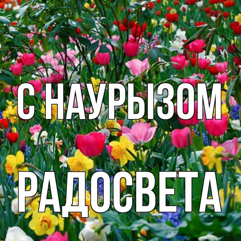 Открытка на каждый день с именем, Радосвета С наурызом с наурызом праздником весны поздравления для женщины Прикольная открытка с пожеланием онлайн скачать бесплатно 