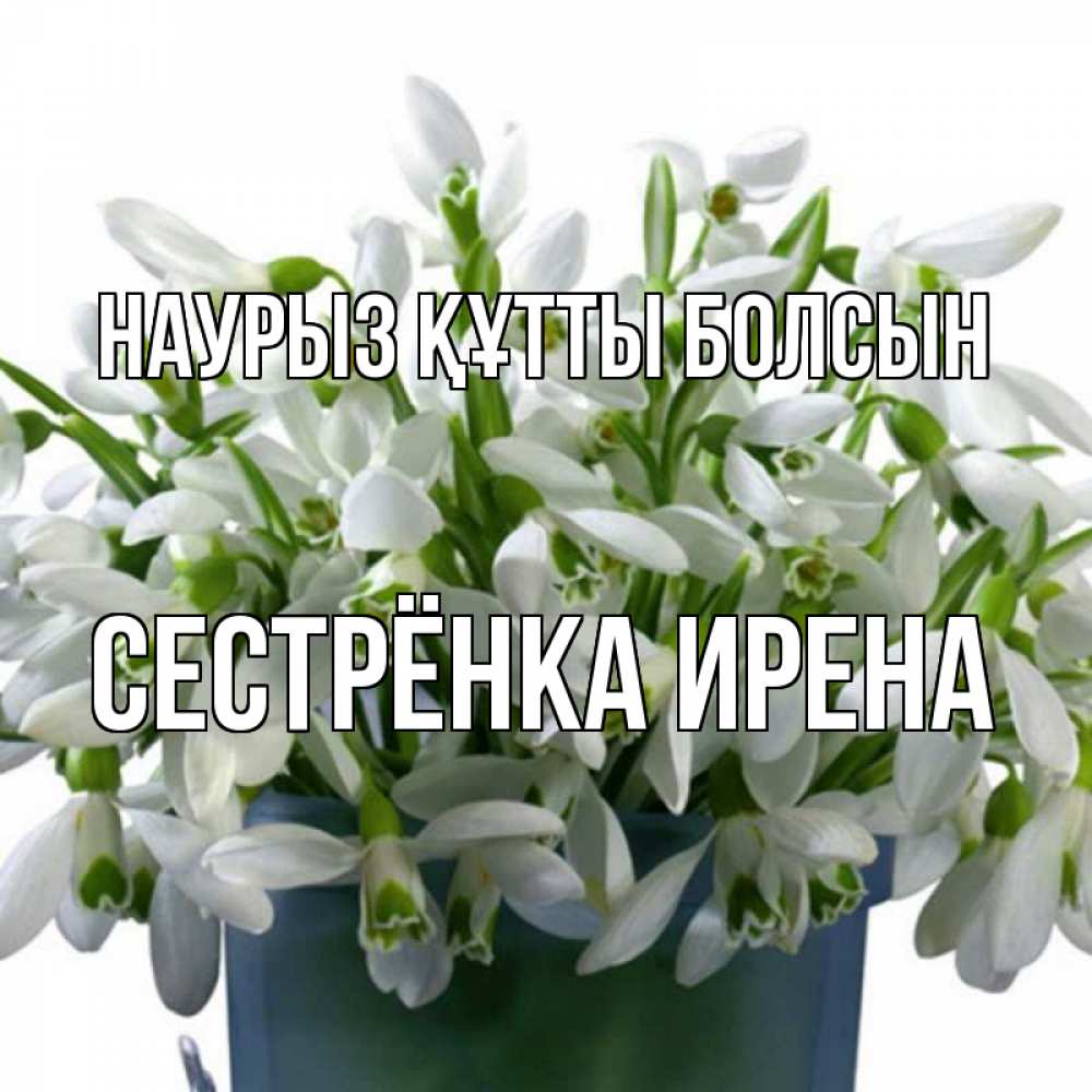 Открытка на каждый день с именем, Сестрёнка-Ирена Наурыз құтты болсын цветы к наурызу Прикольная открытка с пожеланием онлайн скачать бесплатно 