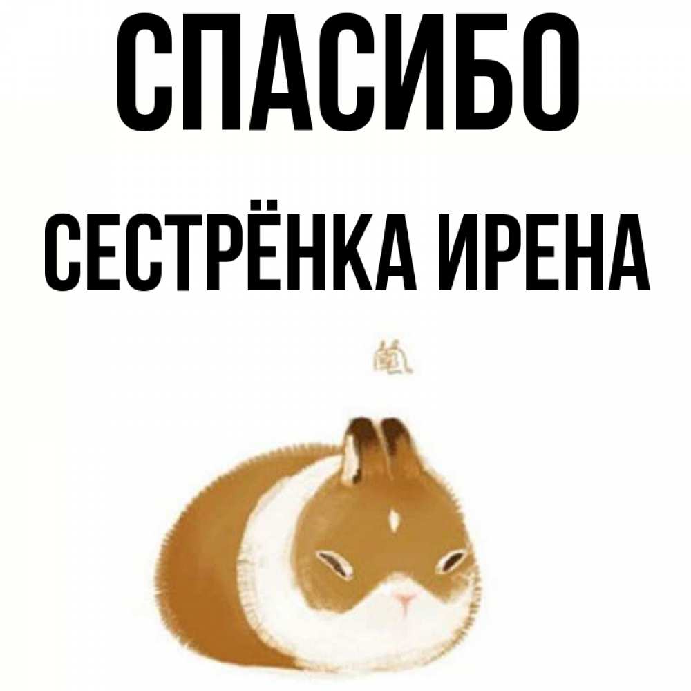 Открытка на каждый день с именем, Сестрёнка-Ирена Спасибо коричнево белый домашний питомец Прикольная открытка с пожеланием онлайн скачать бесплатно 