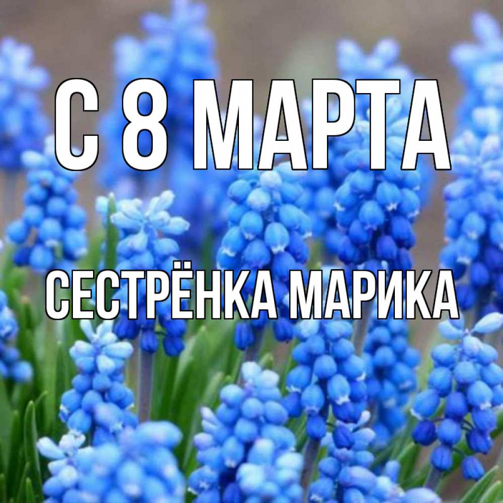Открытка на каждый день с именем, Сестрёнка-Марика С 8 МАРТА Поздравительная открытка для женщин с цветами на праздничную дату Прикольная открытка с пожеланием онлайн скачать бесплатно 