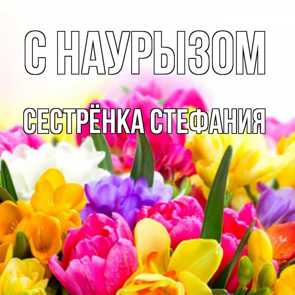 Открытка на каждый день с именем, Сестрёнка-Стефания С наурызом тюльпаны Прикольная открытка с пожеланием онлайн скачать бесплатно 