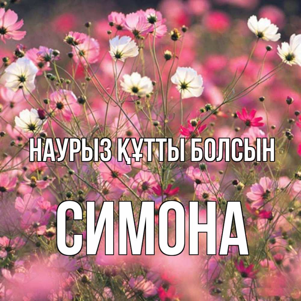 Открытка на каждый день с именем, Симона Наурыз құтты болсын красиво 1 Прикольная открытка с пожеланием онлайн скачать бесплатно 