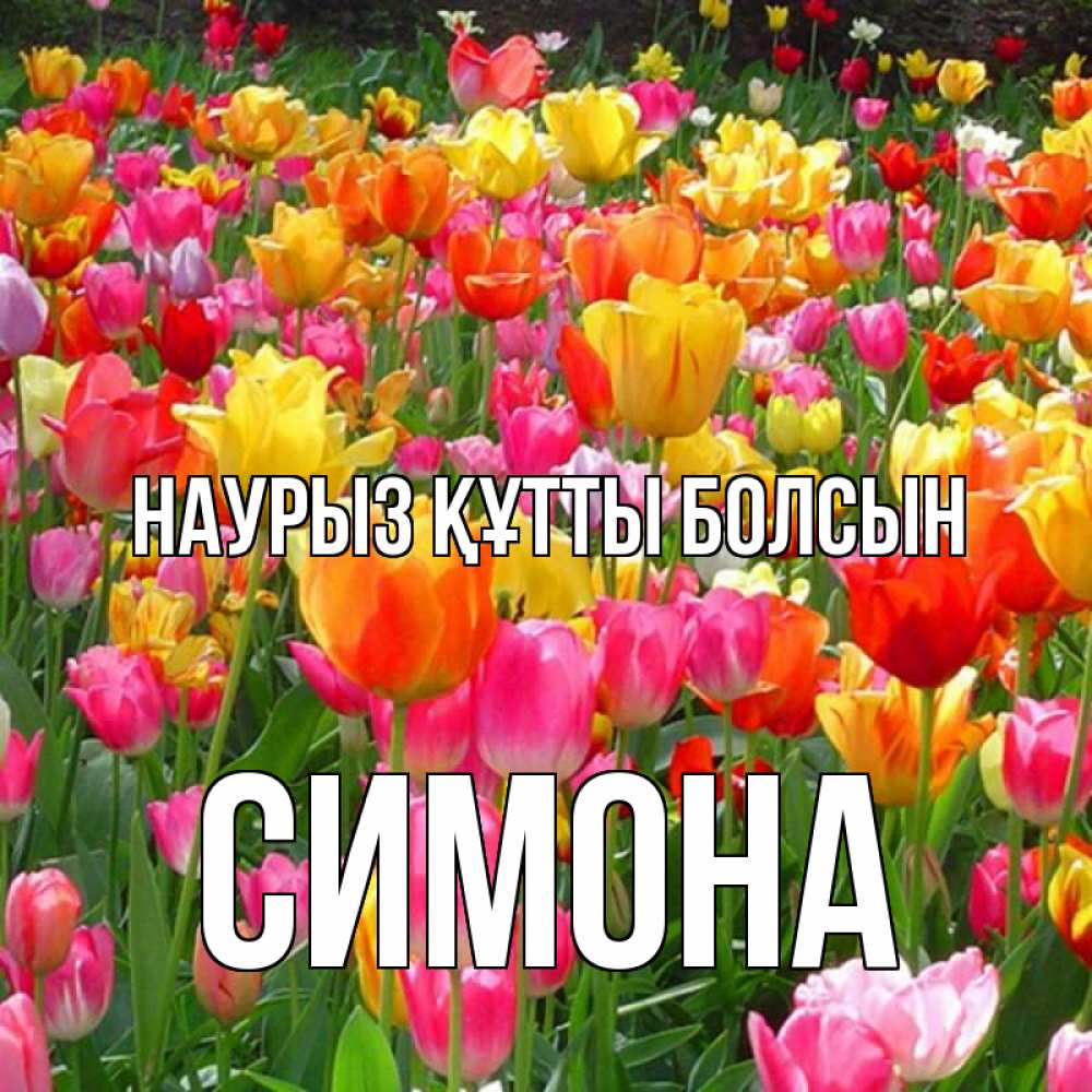 Открытка на каждый день с именем, Симона Наурыз құтты болсын на наурыз  ура ура Прикольная открытка с пожеланием онлайн скачать бесплатно 
