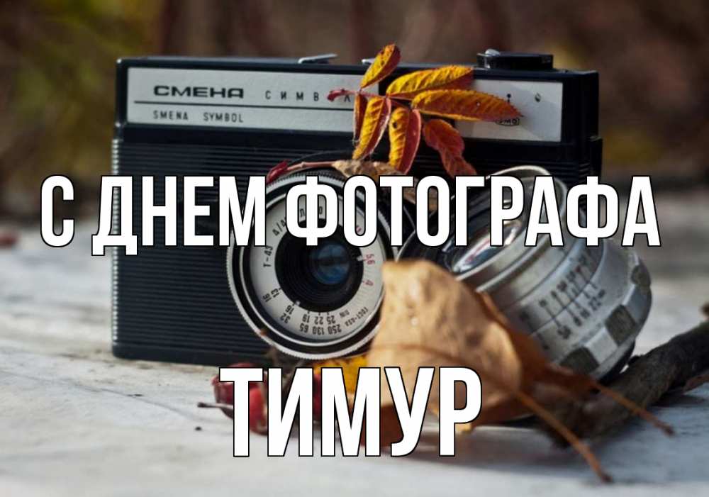 Открытка на каждый день с именем, Тимур С днем фотографа с днем фотографа Прикольная открытка с пожеланием онлайн скачать бесплатно 