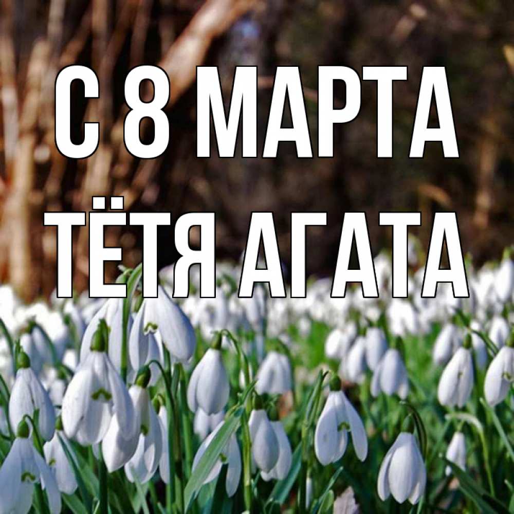 Открытка на каждый день с именем, Тётя-Агата С 8 марта с подснежниками 1 Прикольная открытка с пожеланием онлайн скачать бесплатно 