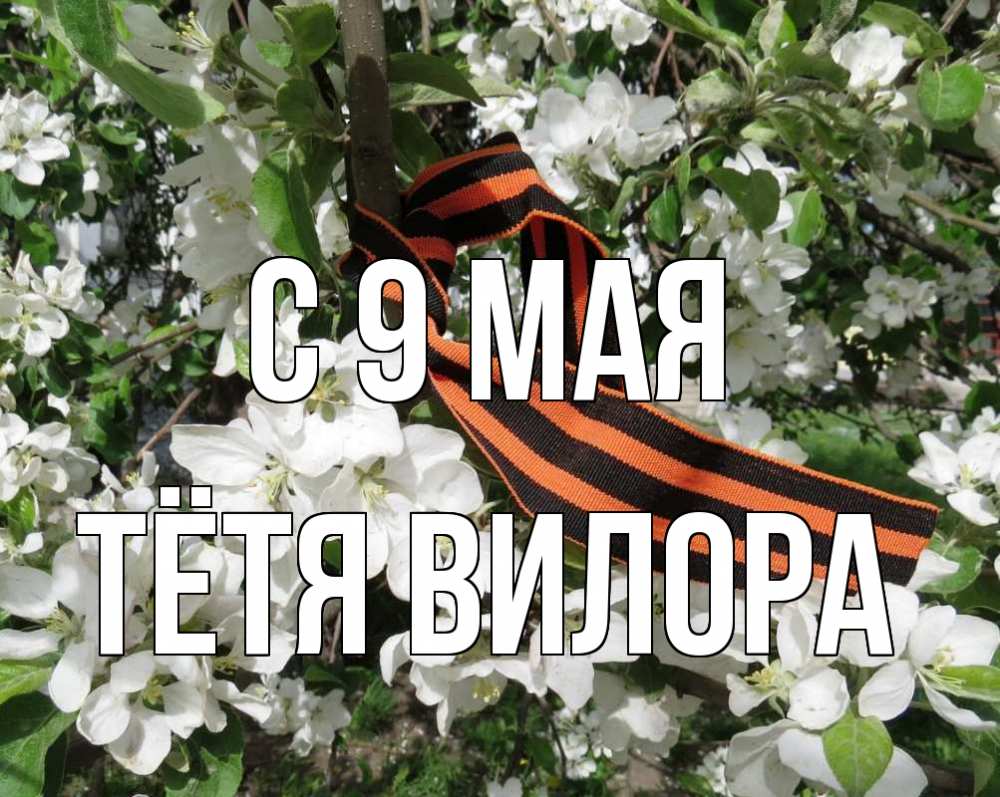 Открытка на каждый день с именем, Тётя-Вилора С 9 мая 9 мая Прикольная открытка с пожеланием онлайн скачать бесплатно 