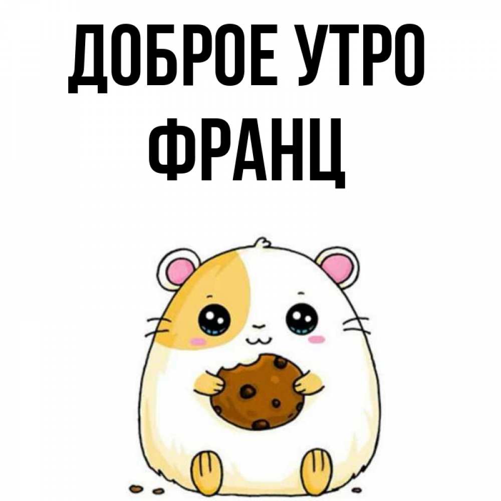 Открытка на каждый день с именем, Франц Доброе утро есть печеньку. Утречко Прикольная открытка с пожеланием онлайн скачать бесплатно 