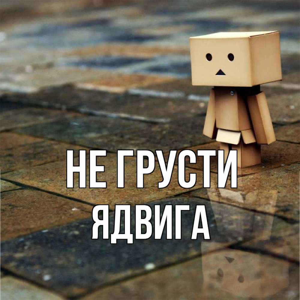 Открытка на каждый день с именем, Ядвига Не грусти Стив Прикольная открытка с пожеланием онлайн скачать бесплатно 