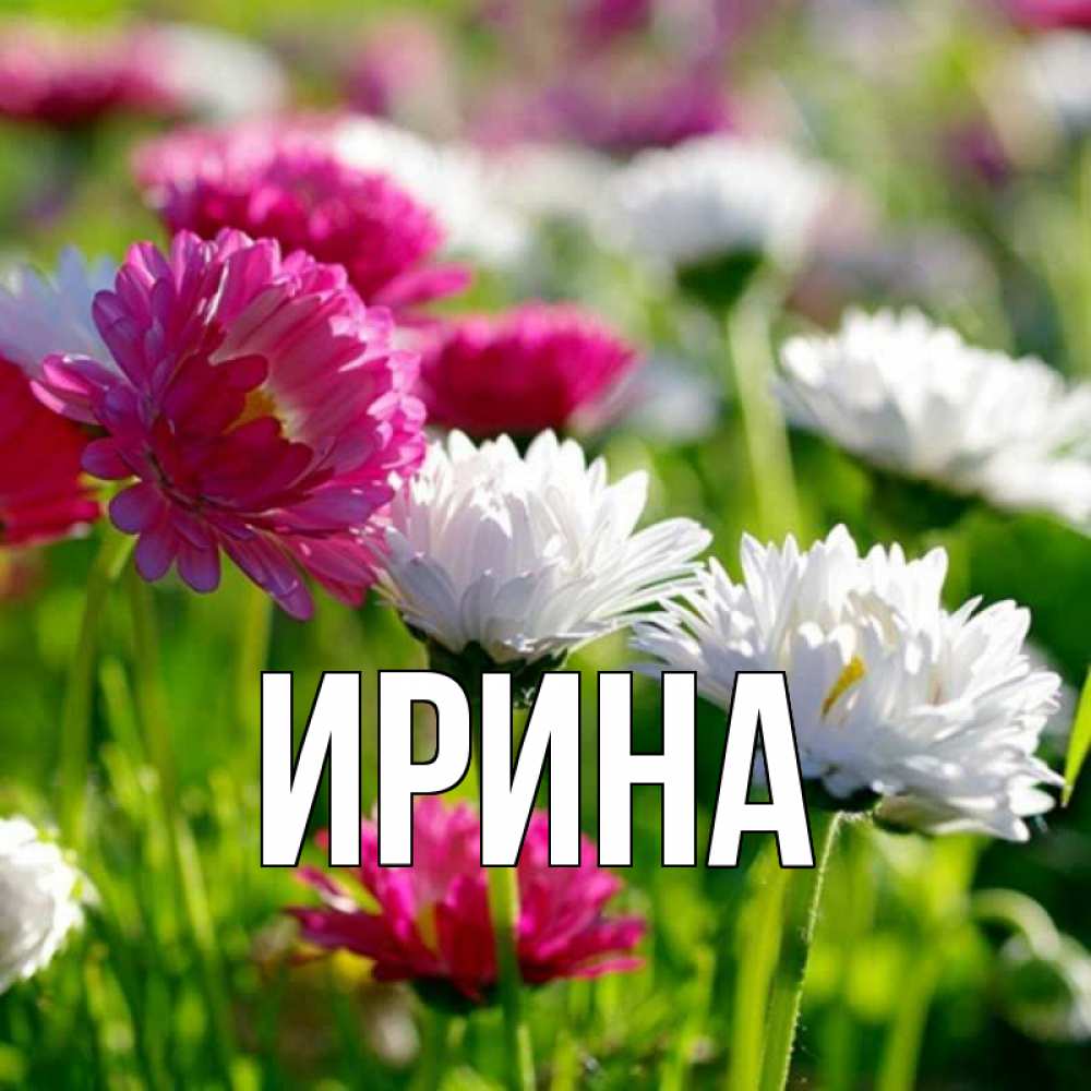 Фото открытки с именем ирина, картинках про