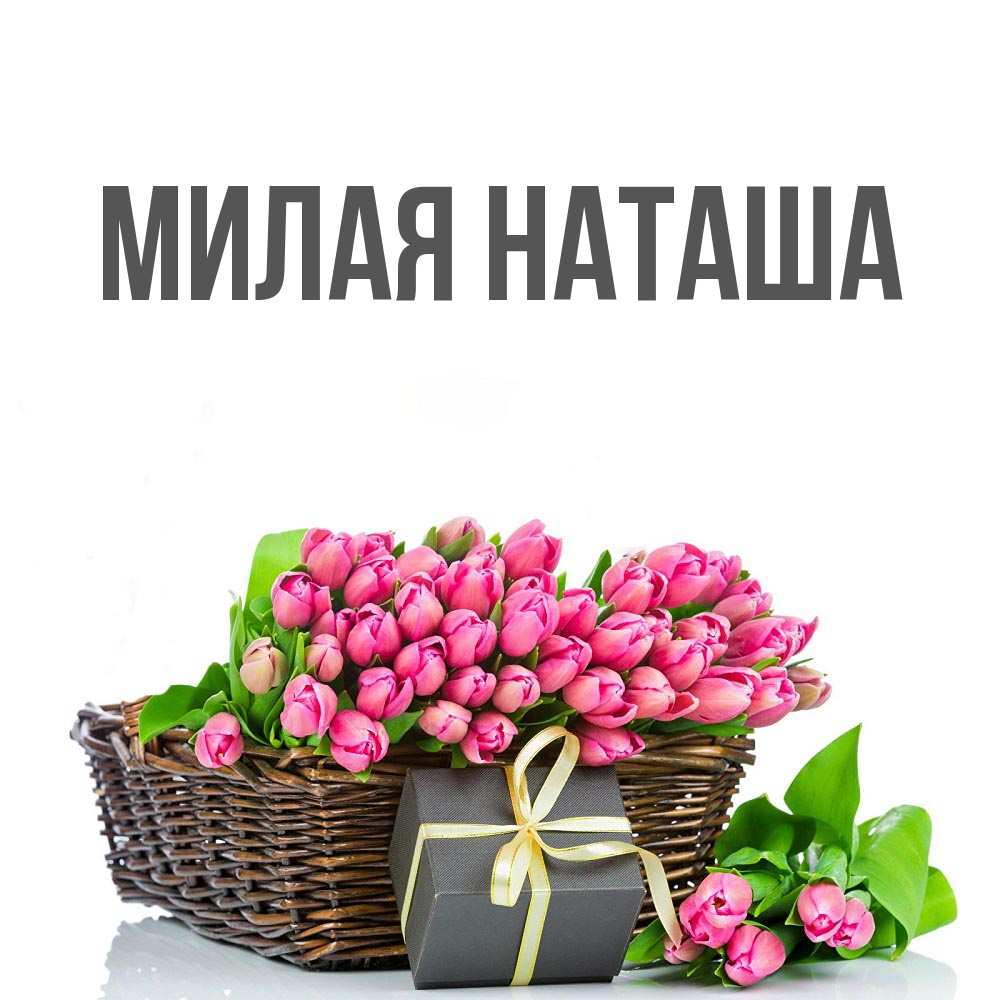 Главная наташа