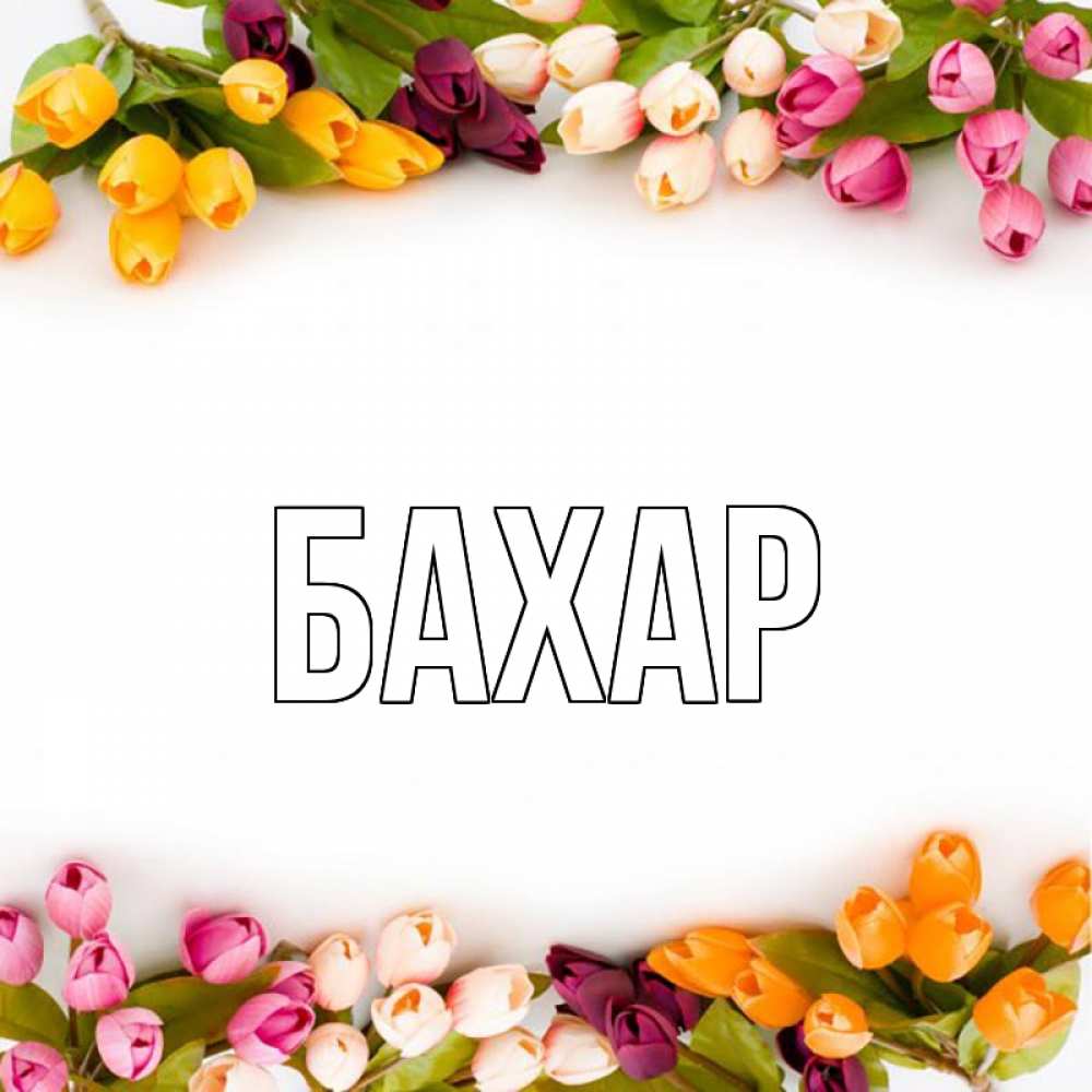 Картинка  с именем , Бахар