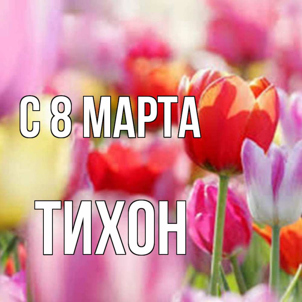 Открытка на каждый день с именем, Тихон С 8 МАРТА на международный женский день 2 Прикольная открытка с пожеланием онлайн скачать бесплатно 