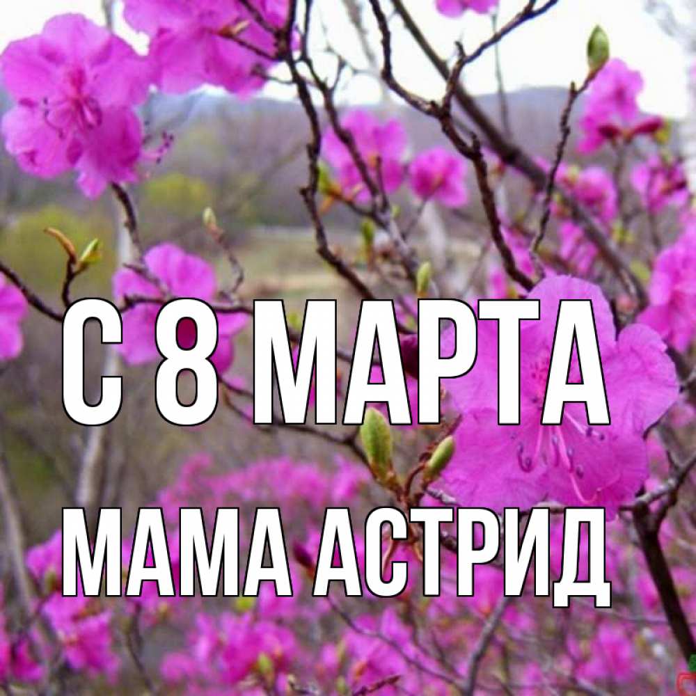 Открытка на каждый день с именем, Мама-Астрид С 8 марта международный женский день Прикольная открытка с пожеланием онлайн скачать бесплатно 