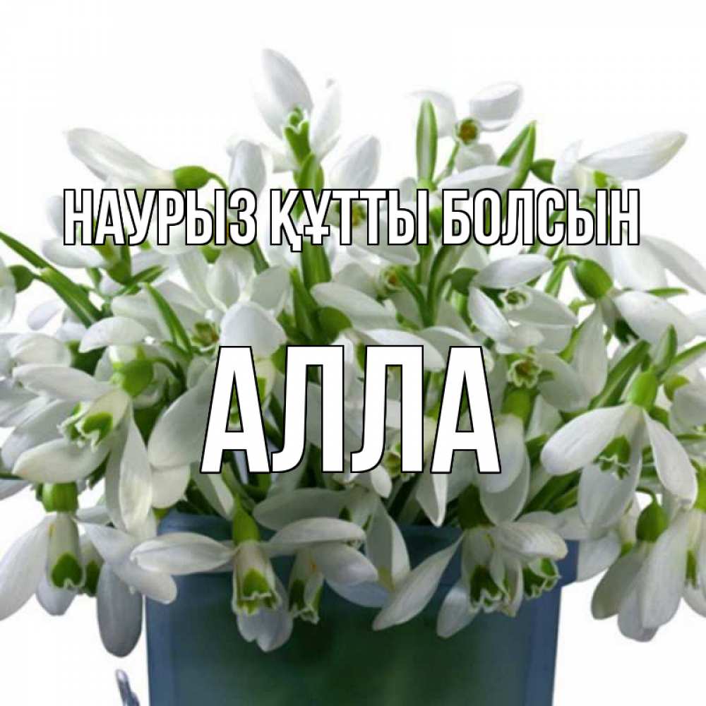 Открытка на каждый день с именем, Алла Наурыз құтты болсын цветы к наурызу Прикольная открытка с пожеланием онлайн скачать бесплатно 