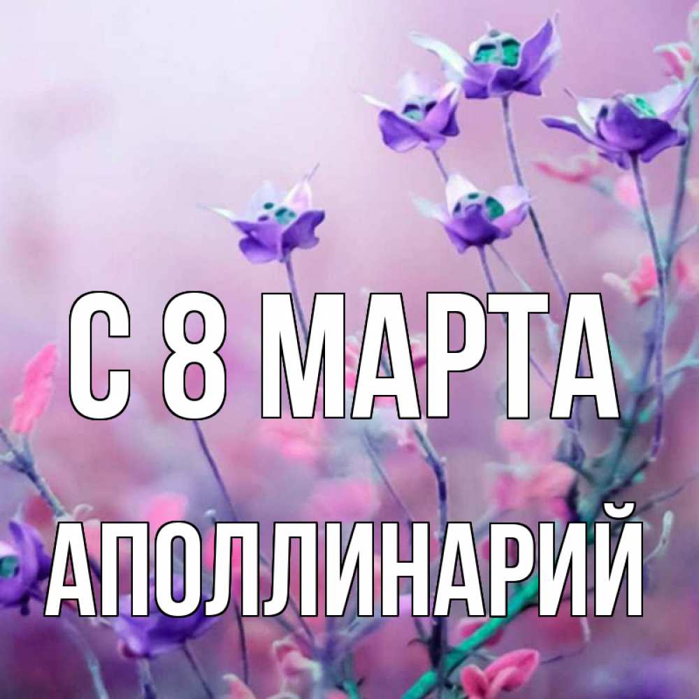 Открытка на каждый день с именем, Аполлинарий С 8 МАРТА международный женский день 2 Прикольная открытка с пожеланием онлайн скачать бесплатно 