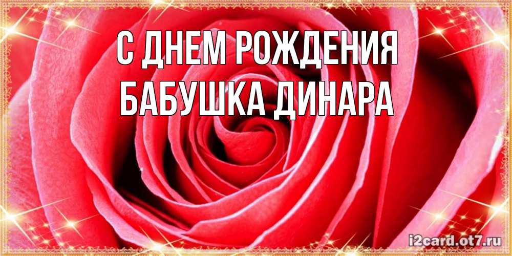 Открытка на каждый день с именем, Бабушка-Динара С днем рождения розовая роза очень крупный бутон Прикольная открытка с пожеланием онлайн скачать бесплатно 