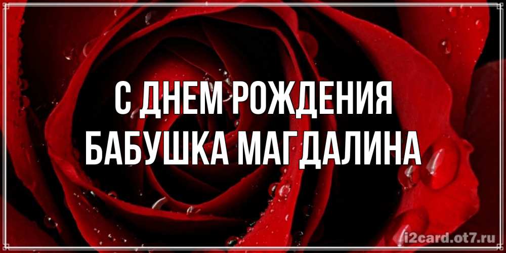 Открытка на каждый день с именем, Бабушка-Магдалина С днем рождения крупная бордовая роза Прикольная открытка с пожеланием онлайн скачать бесплатно 