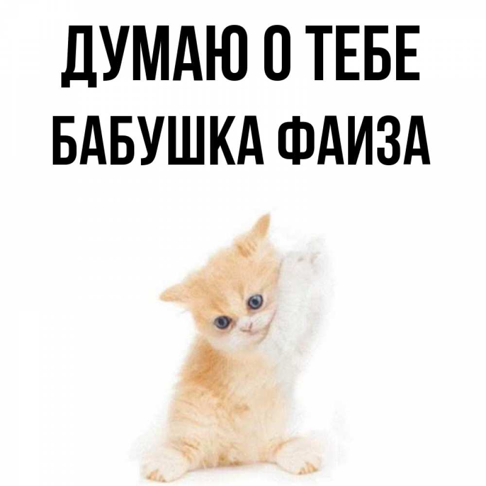 Открытка на каждый день с именем, Бабушка-Фаиза Думаю о тебе зверушки и милота Прикольная открытка с пожеланием онлайн скачать бесплатно 