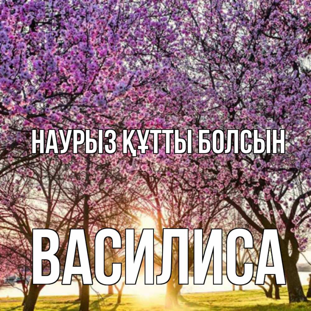Открытка на каждый день с именем, Василиса Наурыз құтты болсын наурыз Прикольная открытка с пожеланием онлайн скачать бесплатно 