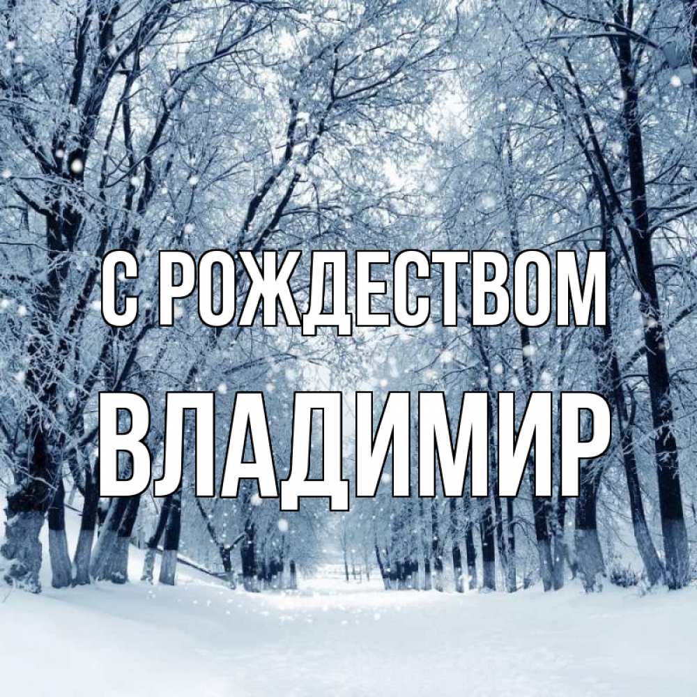 Открытка на каждый день с именем, Владимир С рождеством снег, лес, парк Прикольная открытка с пожеланием онлайн скачать бесплатно 