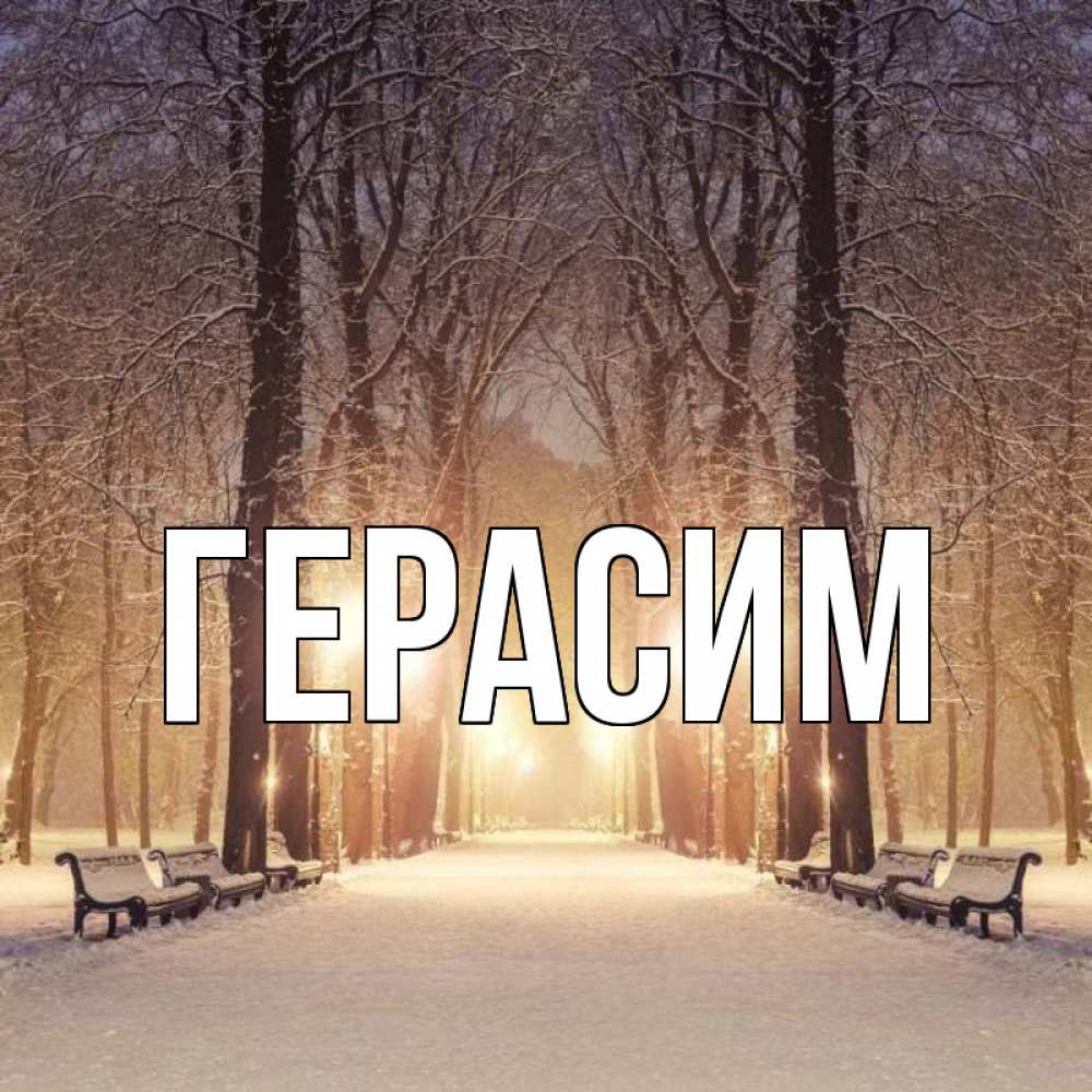 Открытка на каждый день с именем, Герасим Главная зима, парк, фонарь, лес Прикольная открытка с пожеланием онлайн скачать бесплатно 