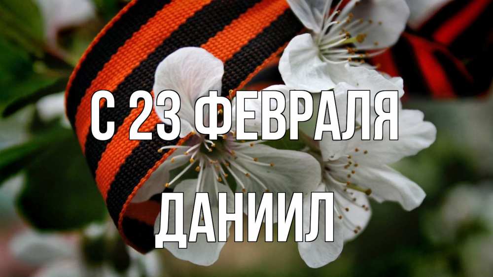 Открытка на каждый день с именем, Даниил С 23 февраля 23 февраля Прикольная открытка с пожеланием онлайн скачать бесплатно 