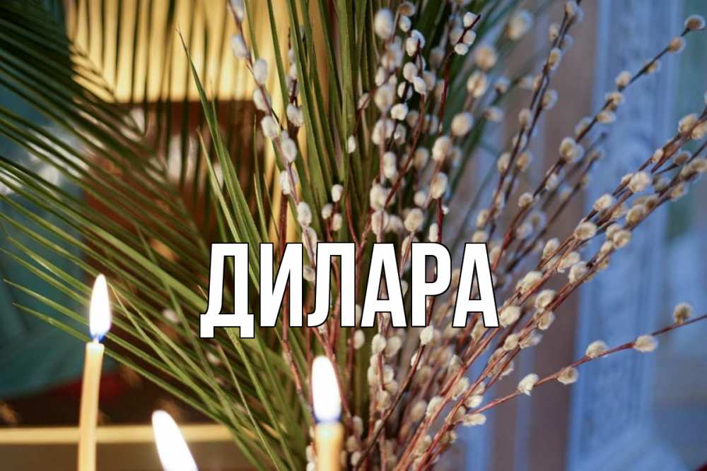 Открытка на каждый день с именем, Дилара Главная верба Прикольная открытка с пожеланием онлайн скачать бесплатно 