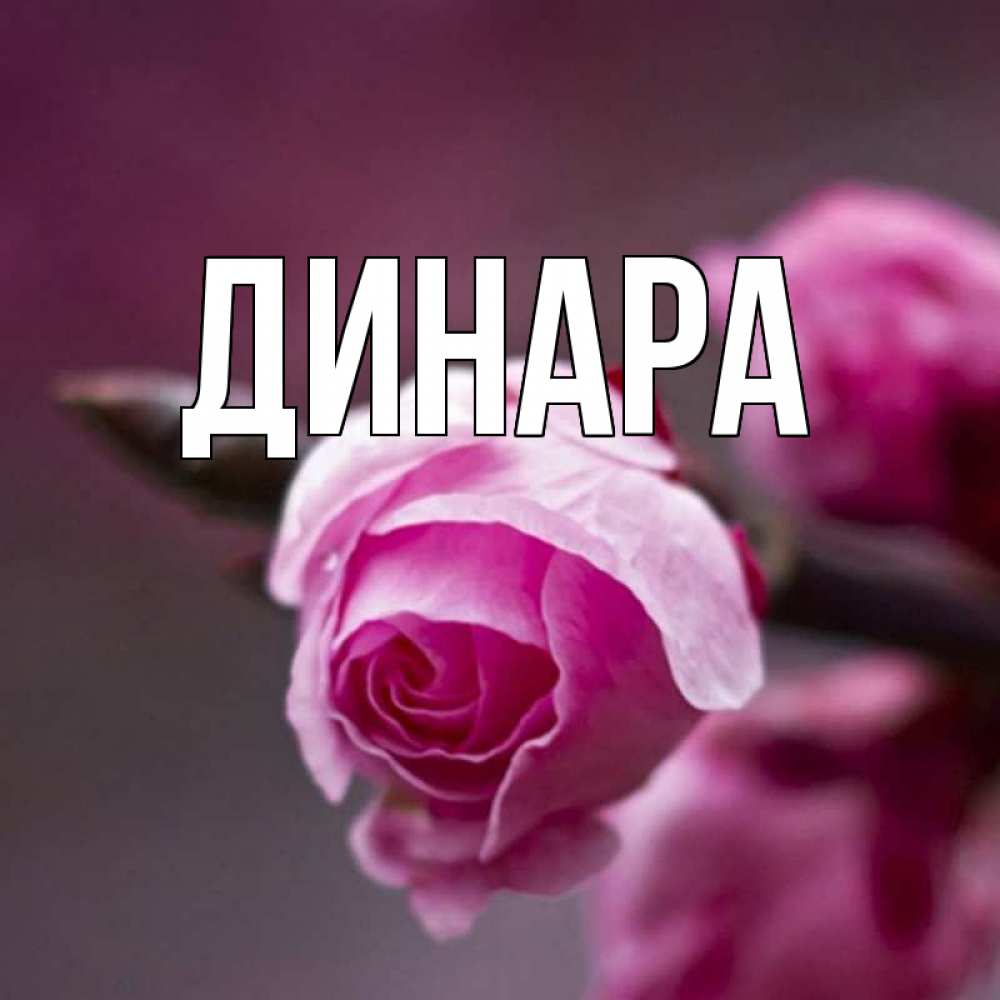 Открытка на каждый день с именем, Динара Главная весна Прикольная открытка с пожеланием онлайн скачать бесплатно 