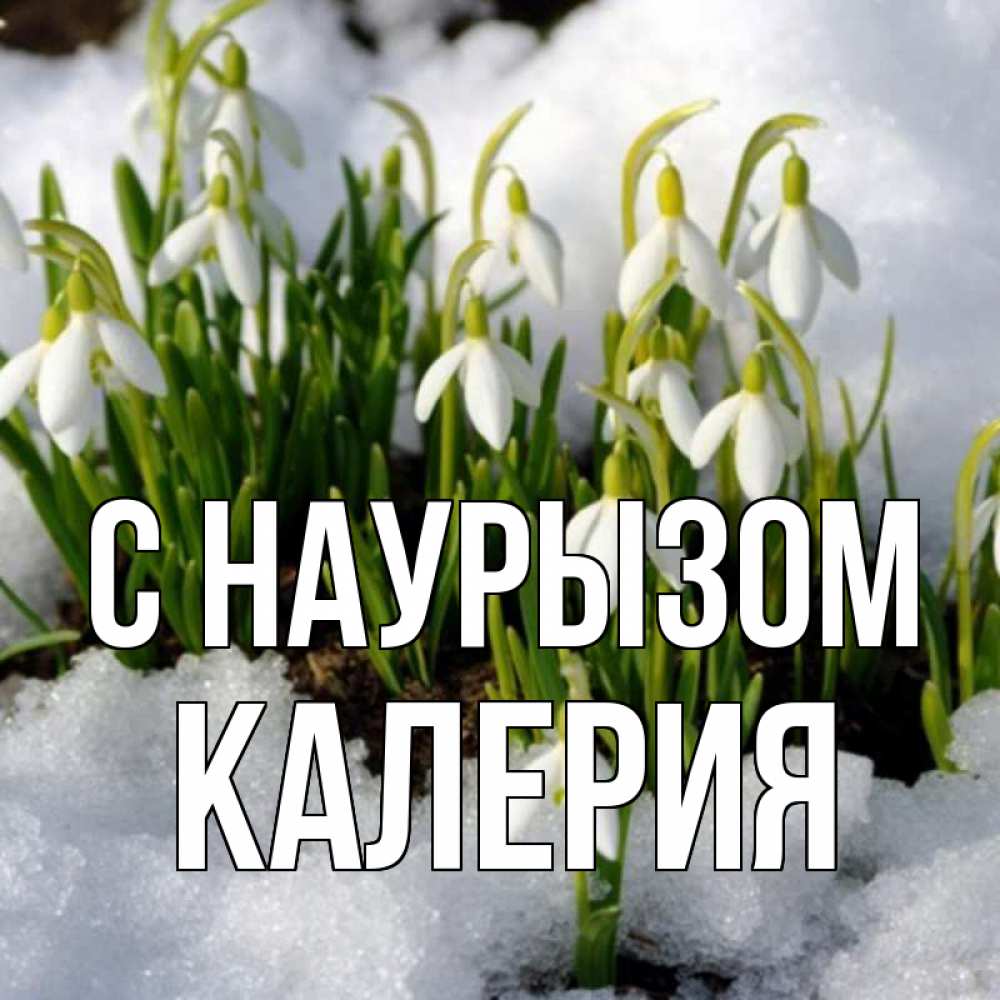 Открытка на каждый день с именем, Калерия С наурызом цветы весенние Прикольная открытка с пожеланием онлайн скачать бесплатно 