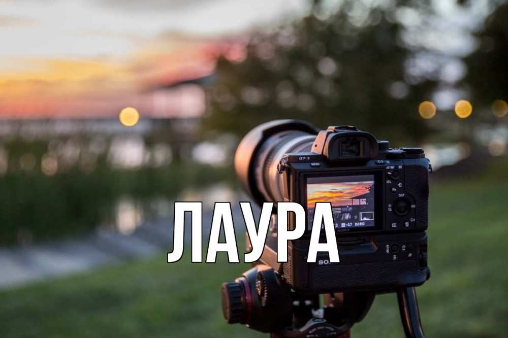 Открытка на каждый день с именем, Лаура Главная с днем фотографа Прикольная открытка с пожеланием онлайн скачать бесплатно 