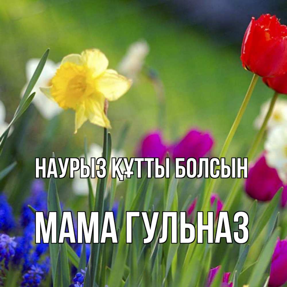 Открытка на каждый день с именем, Мама-Гульназ Наурыз құтты болсын наурыз  3 открытки Прикольная открытка с пожеланием онлайн скачать бесплатно 