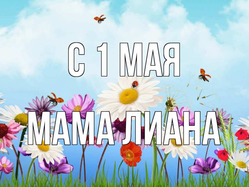 Открытка на каждый день с именем, Мама-Лиана С 1 мая С 1 мая Прикольная открытка с пожеланием онлайн скачать бесплатно 