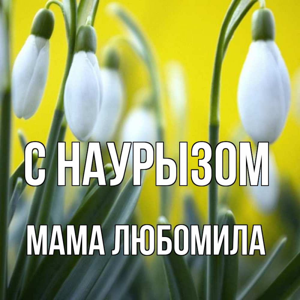 Открытка на каждый день с именем, Мама-Любомила С наурызом весенние цветы Прикольная открытка с пожеланием онлайн скачать бесплатно 