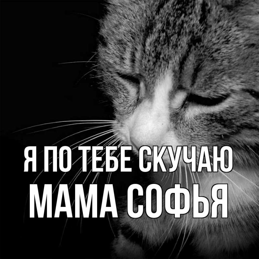 Открытка на каждый день с именем, Мама-Софья Я по тебе скучаю мне скучно Прикольная открытка с пожеланием онлайн скачать бесплатно 