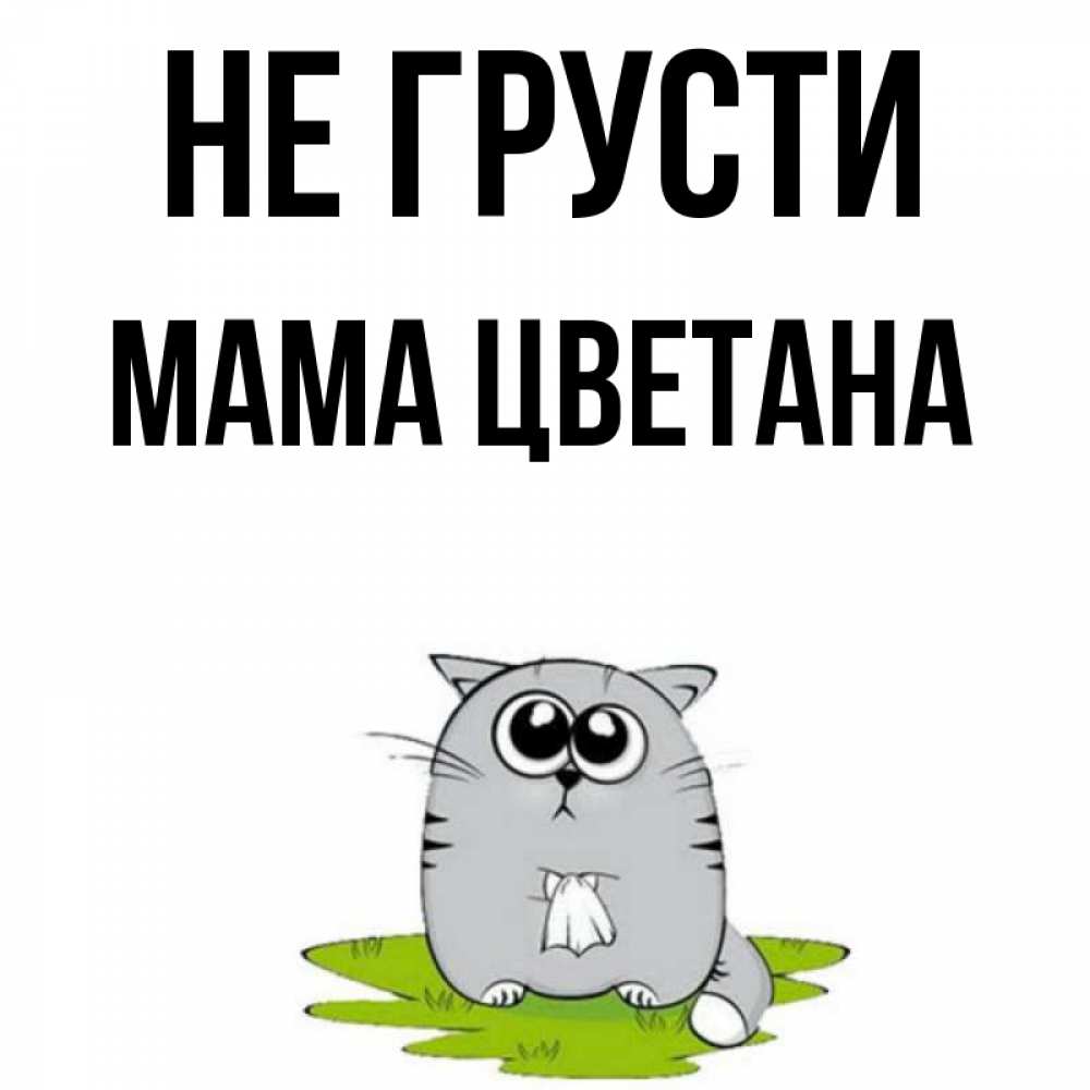 Открытка на каждый день с именем, Мама-Цветана Не грусти грустный котяра Прикольная открытка с пожеланием онлайн скачать бесплатно 