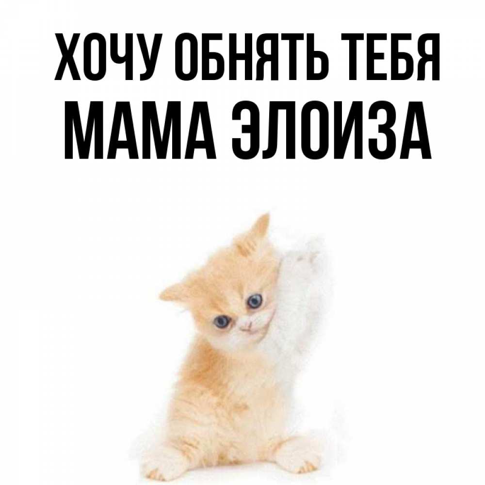 Открытка на каждый день с именем, Мама-Элоиза Хочу обнять тебя я хочу очень скорее обнимаешек Прикольная открытка с пожеланием онлайн скачать бесплатно 