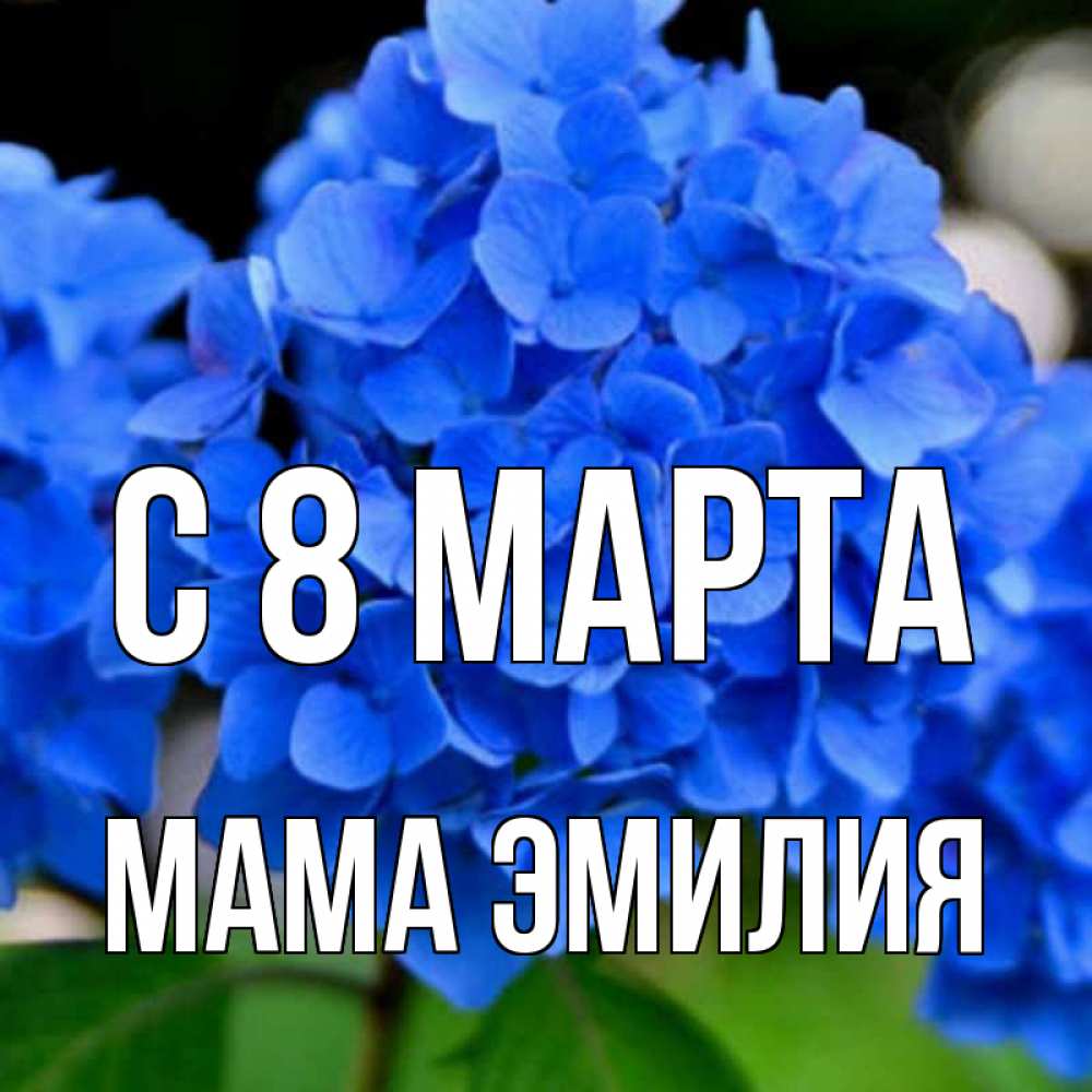 Открытка на каждый день с именем, Мама-Эмилия С 8 МАРТА синие цветы Прикольная открытка с пожеланием онлайн скачать бесплатно 