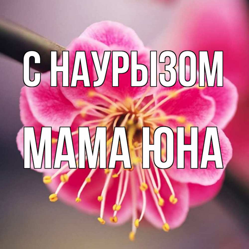 Открытка на каждый день с именем, Мама-Юна С наурызом цветы Прикольная открытка с пожеланием онлайн скачать бесплатно 