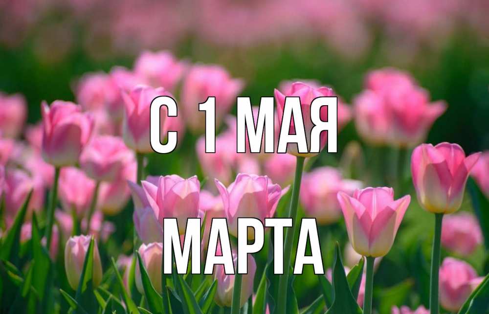 Открытка на каждый день с именем, Марта С 1 мая С 1 мая Прикольная открытка с пожеланием онлайн скачать бесплатно 