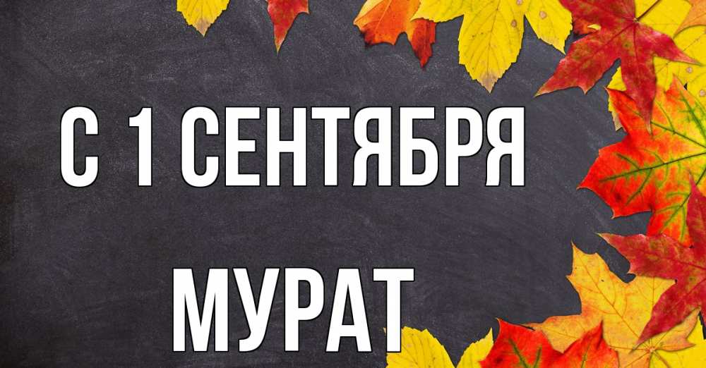 Открытка на каждый день с именем, Мурат С 1 сентября с днем знаний Прикольная открытка с пожеланием онлайн скачать бесплатно 