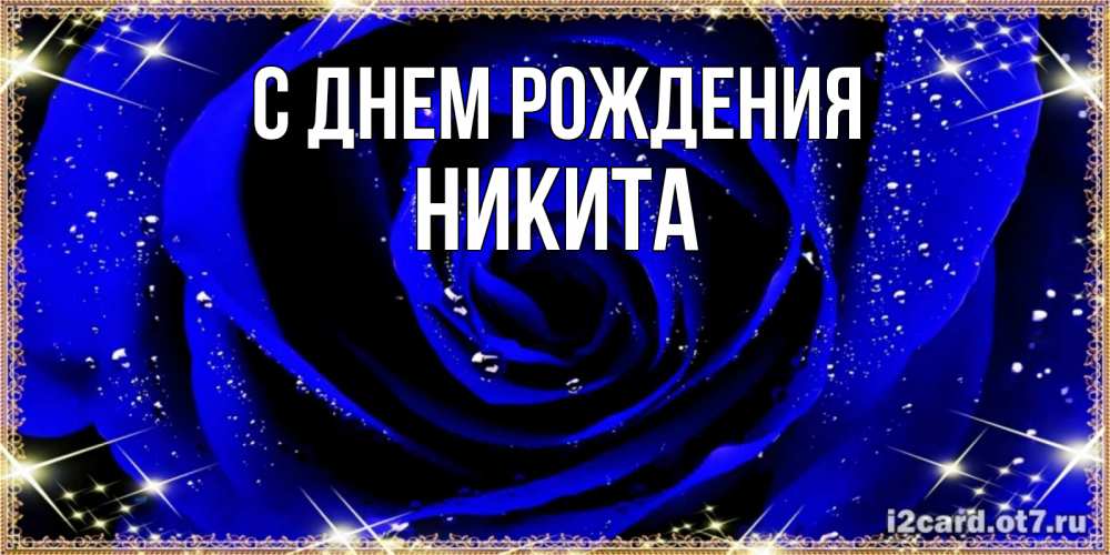 Открытка на каждый день с именем, Никита С днем рождения голубые цветы в росе Прикольная открытка с пожеланием онлайн скачать бесплатно 