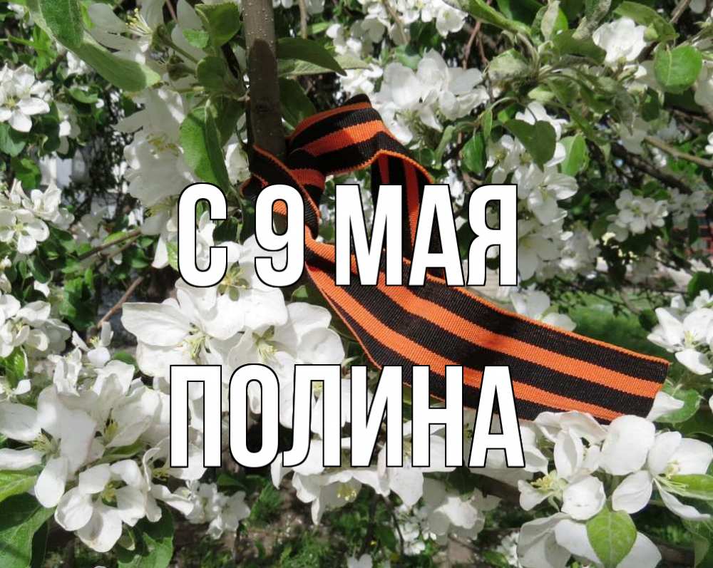 Открытка на каждый день с именем, Полина С 9 мая 9 мая Прикольная открытка с пожеланием онлайн скачать бесплатно 