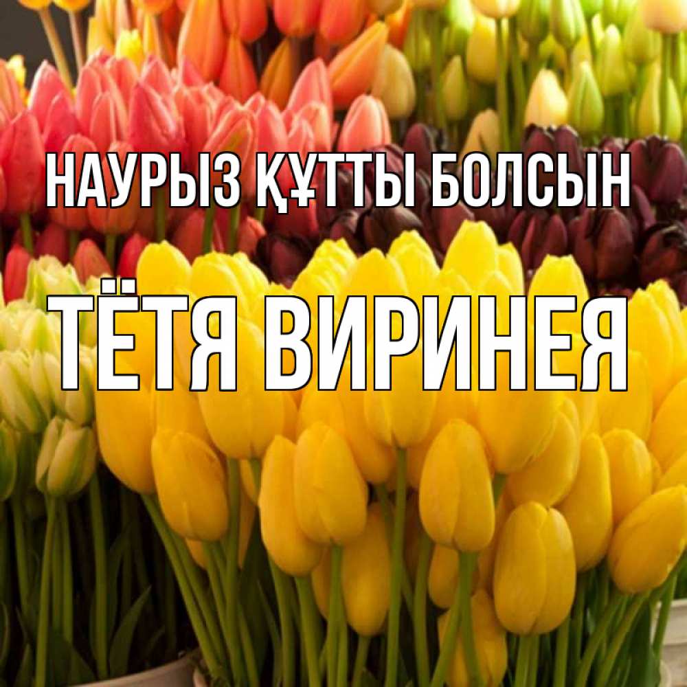 Открытка на каждый день с именем, Тётя-Виринея Наурыз құтты болсын цветы Прикольная открытка с пожеланием онлайн скачать бесплатно 