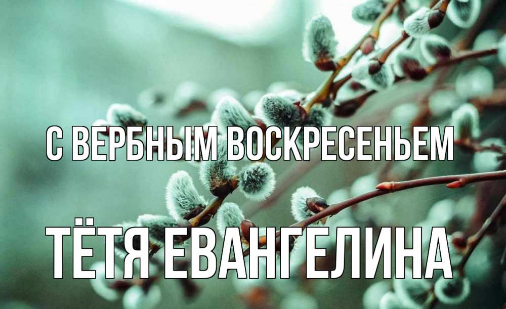 Открытка на каждый день с именем, Тётя-Евангелина С вербным воскресеньем верба Прикольная открытка с пожеланием онлайн скачать бесплатно 