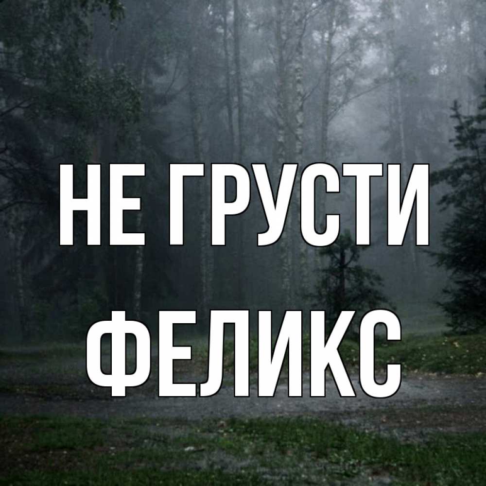 Открытка на каждый день с именем, Феликс Не грусти осень Прикольная открытка с пожеланием онлайн скачать бесплатно 