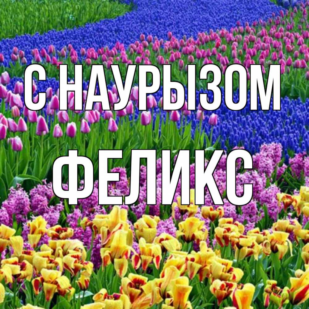 Открытка на каждый день с именем, Феликс С наурызом цветы Прикольная открытка с пожеланием онлайн скачать бесплатно 