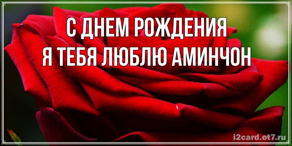 Открытка на каждый день с именем, Я-тебя-люблю-Аминчон С днем рождения розочка очень красивая Прикольная открытка с пожеланием онлайн скачать бесплатно 